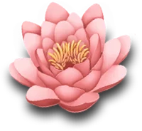 Decorative image
